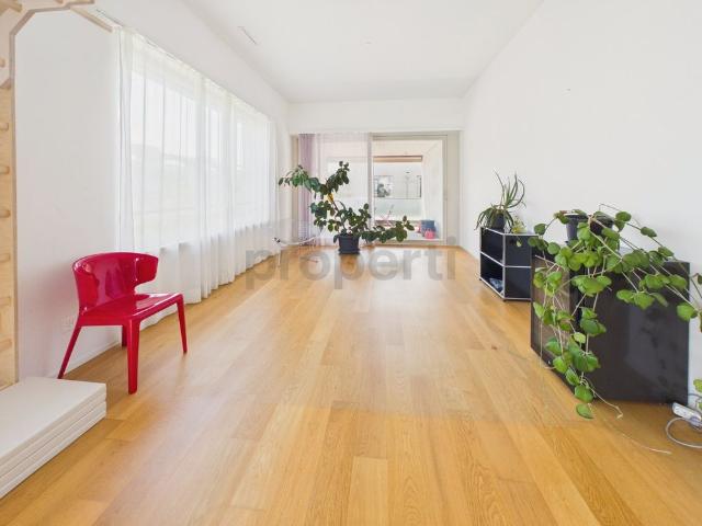 4.5 Zimmer, 131 m², 3. Stock