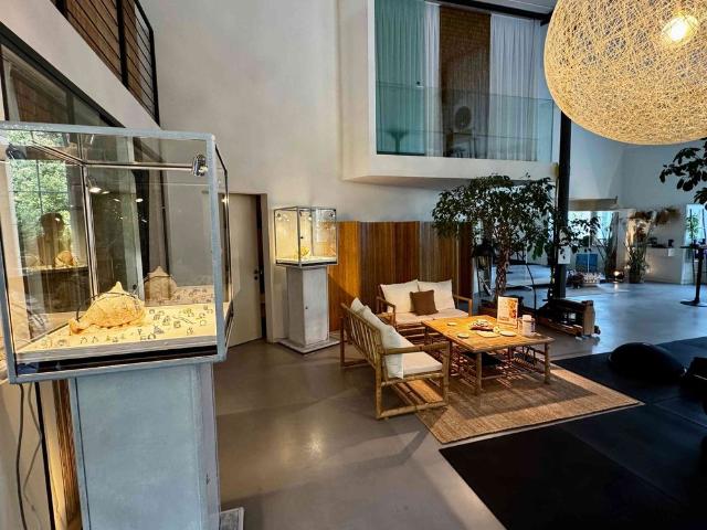 4.5 Zimmer, 308 m², EG