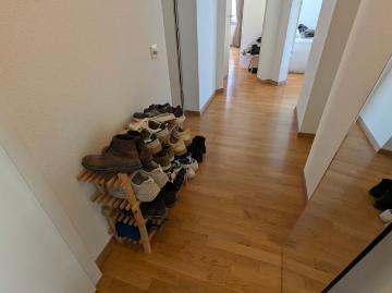 Bireggstrasse, Steghof, Luzern, Kanton Luzern
