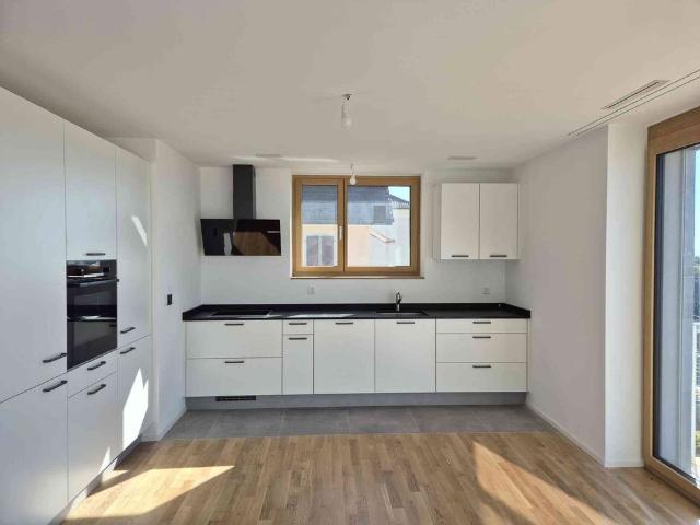 4.5 Zimmer, 95 m², 1. Stock