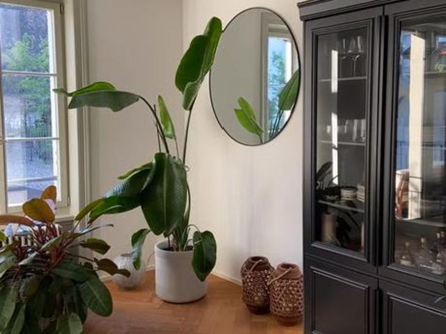 4.5 Zimmer, 90 m², 2. Stock