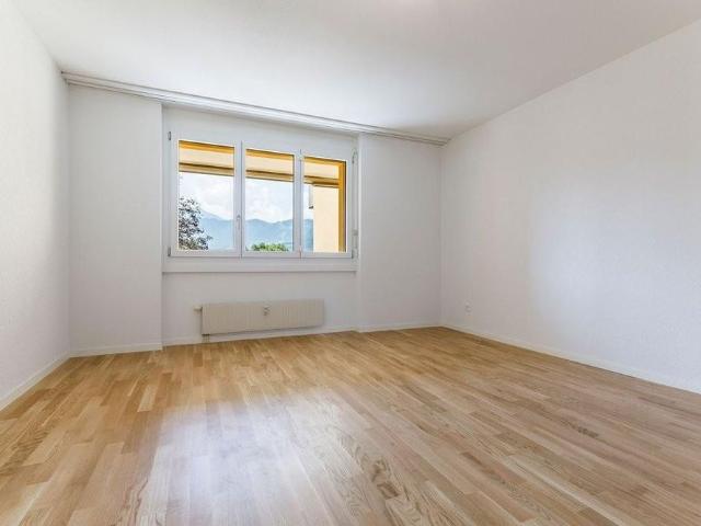 4.5 Zimmerwohnung im Buchholzquartier