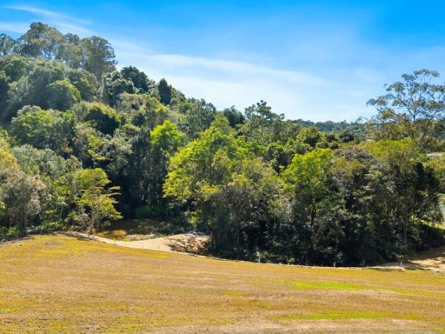A Private Rainforest Sanctuary with a Premium Homesite