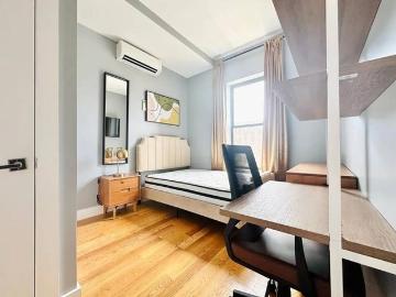 Flatbush, New York city, New York, USA