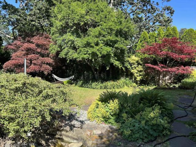 4bdr 3bath whole house in Oak Bay