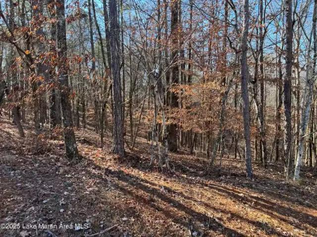 53 DOE LN, DADEVILLE, AL 36853