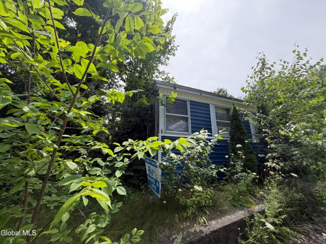 53 Elizabeth Street