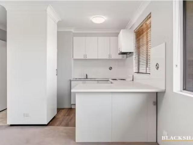 53C/58 Wattle Street, Lyneham Apartment for rent Listed by Ta.