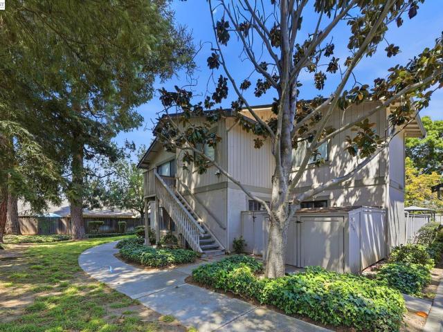 5005 Grey Feather Cir