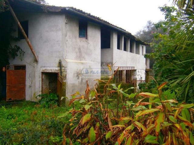 5000 m2 de terreno com casa para recuperar