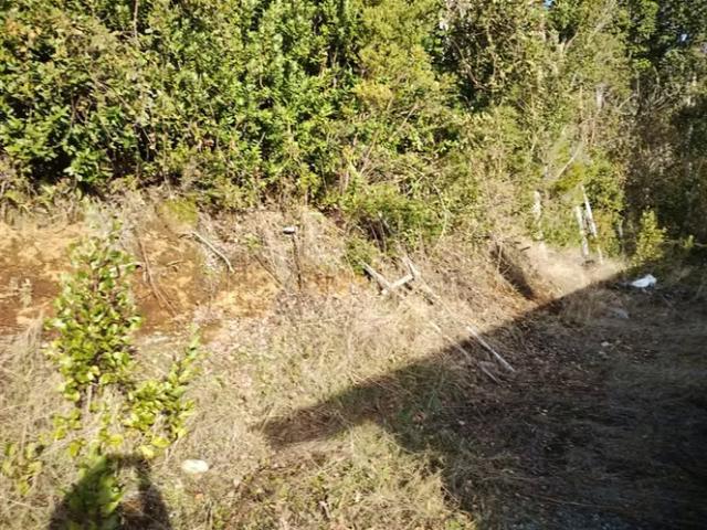 5000 mts/2 200 mts/2 sector Challupen LICAN RAY OFERTAS | 4 dormitorios por 120000. 00 en Villarrica