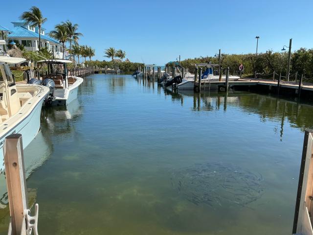 500 Burton Dr, Unit 3308, Tavernier, FL 33070 | MLS #618597