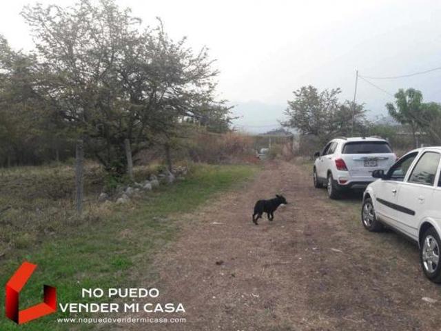 500m2 DE TERRENO A UN COSTADO DE LA UPEMOR