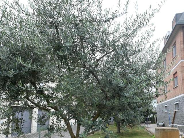 Via A. De Gasperi 16 500mq