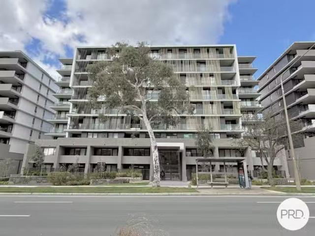 501/254 Northbourne Avenue, part SON Apartment for rent Liste.
