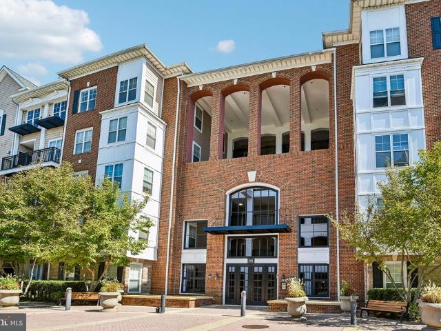 501 Hungerford Drive # 244
