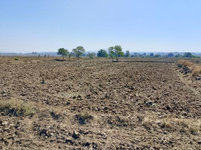 5026 Sq.Ft. Plot in Panvel Navi Mumbai Listing ID: #10119