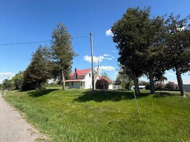 503 County Road 4, Douro Dummer, ON, K9J 6Y1 house for lease | Listing ID X13444 | Royal LePage