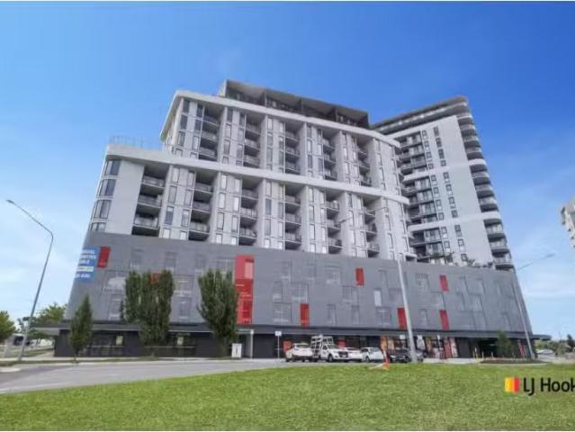 504/8 Gribble Street, GUNGAHLIN Apartment for rent Listed by.