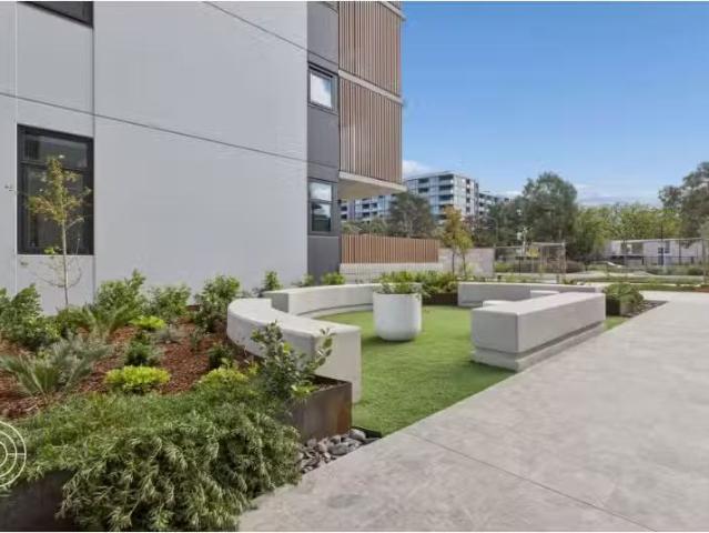 504/304 Northbourne Avenue, partson Apartment for rent Listed.