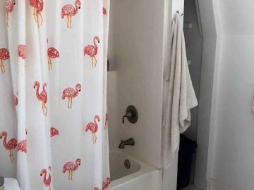 504 Cathedral Street 1 Bedroom Apartment for Rent at 504 Cathedral St, Baltimore, MD 21201 Downtown Baltimore