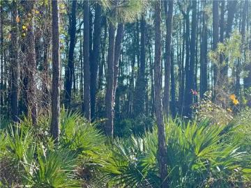 509 FORT TOMBECBE PL, DAUPHIN ISLAND, AL 36528