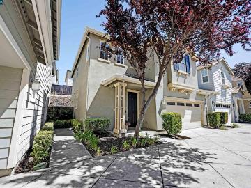 509 Falling Star Dr