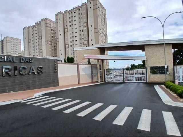 50 Área Útil Apartamento Alugar, 2 Dormitórios localizado em Jardim Primavera, Nova Odessa, São Paulo, 13380530 | Brasil