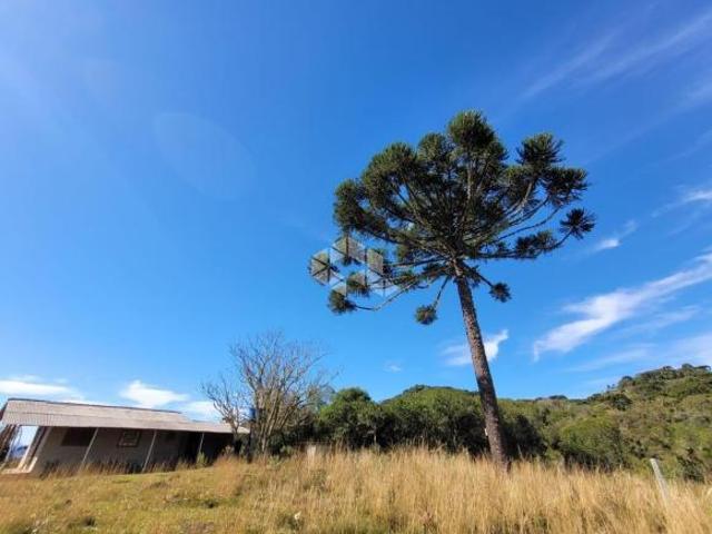 50 ha de terras e matos em Capão Alto/ Cazuza Ferreira São Francisco de Paula