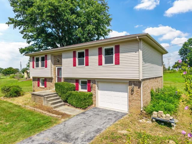 50 Hickory Lane
