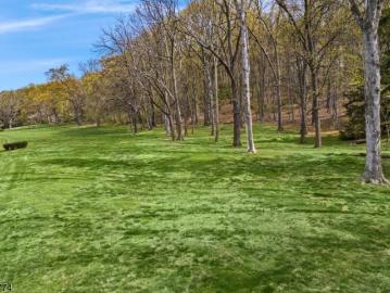 50 Hidden Valley Rd, Far Hills, NJ 07931 | MLS #4015