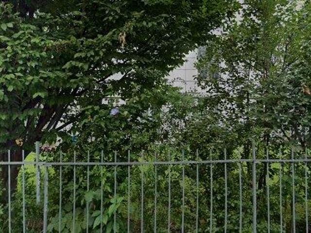 50 m2 apartment for rent in Bern Mittelland