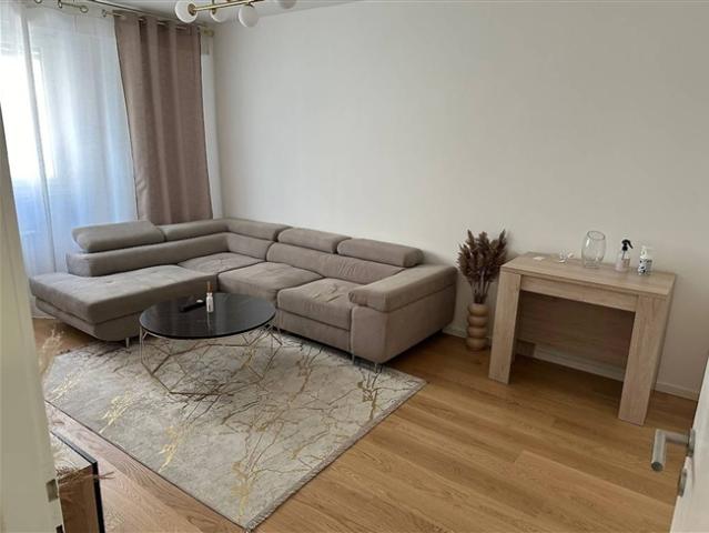3 Zimmer Wohnung im Stadtzentrum von Genf
