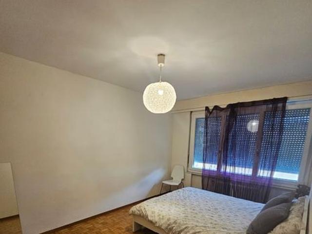 50 m²
