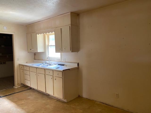 50 McGinley Loop