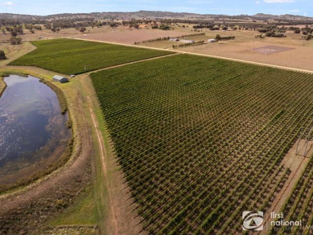 50AC VIEWS PRODUCTIVE LAND + WATER