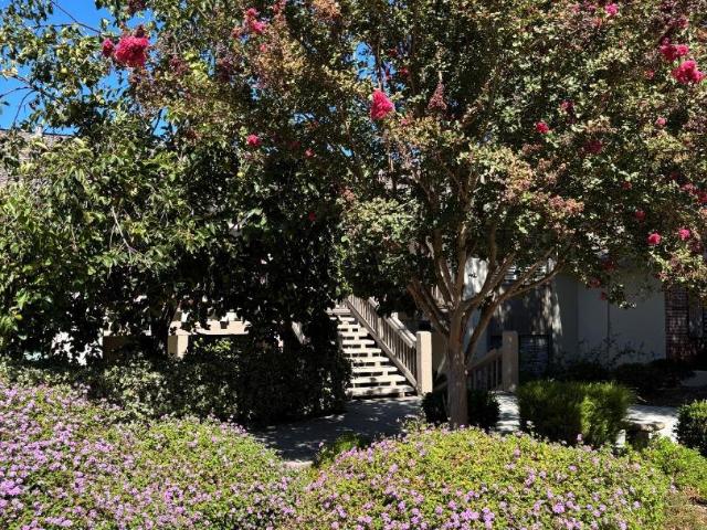 5109 Cribari Place