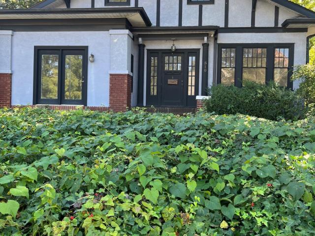 510 Hawthorne Lane
