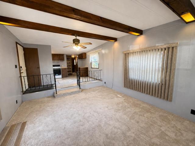 513 Spruce Drive