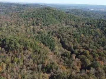 5156 MOUNTAIN VALLEY RD # 000, HUEYTOWN, AL 35023