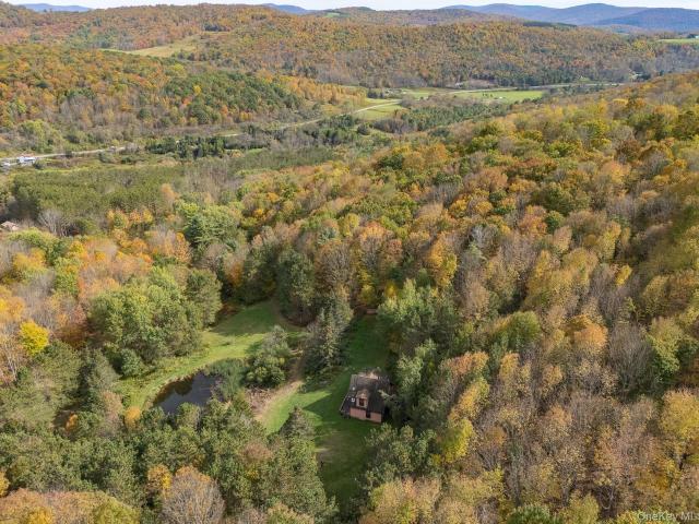 515 Magic Mountain Rd, Bloomville, NY 13739 | MLS #920835