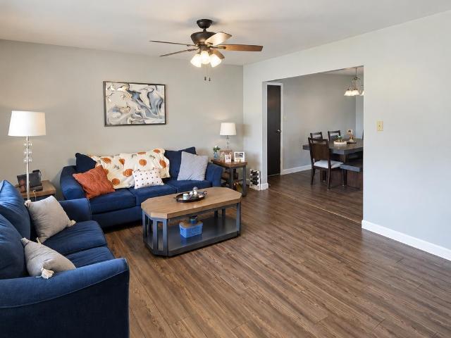 517 E Violet Drive