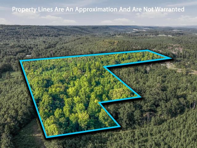 518 County Road 288