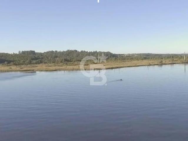 51,22 hectáreas en Chepu, Ancud sobre carretera | 0 dormitorios por 7900.00 en Ancud