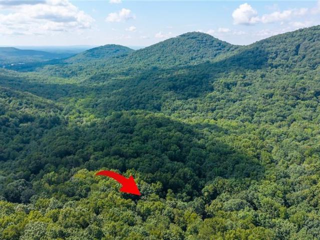 51 Trout Lily Trail