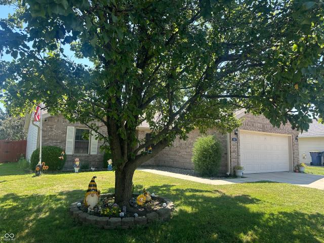 51 Cedarwood