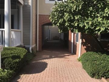 51 Forest Avenue APT 19, Greenwich, US, CT