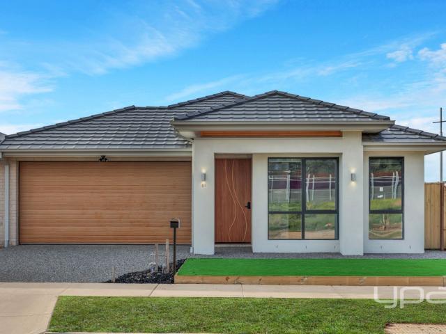 51 Gambusia Road, Werribee