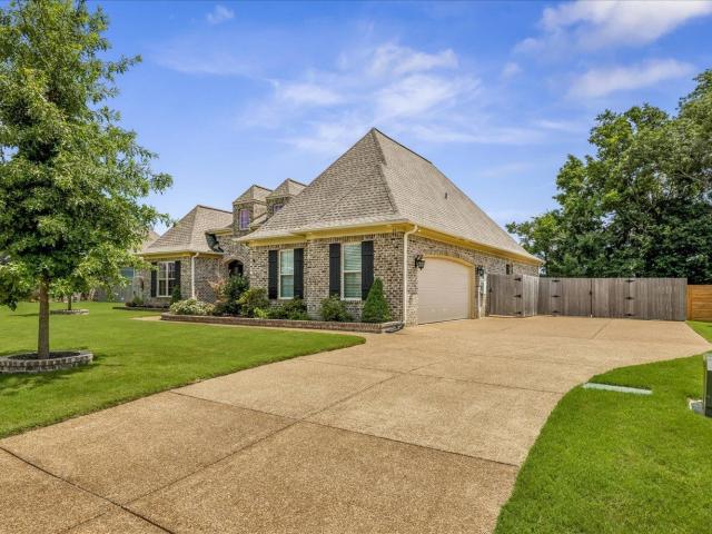51 johnsborough cv