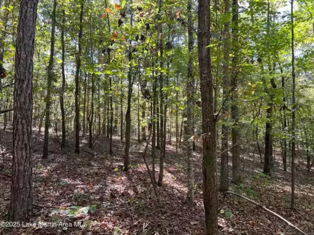 51 LONG LEAF WAY, DADEVILLE, AL 36853